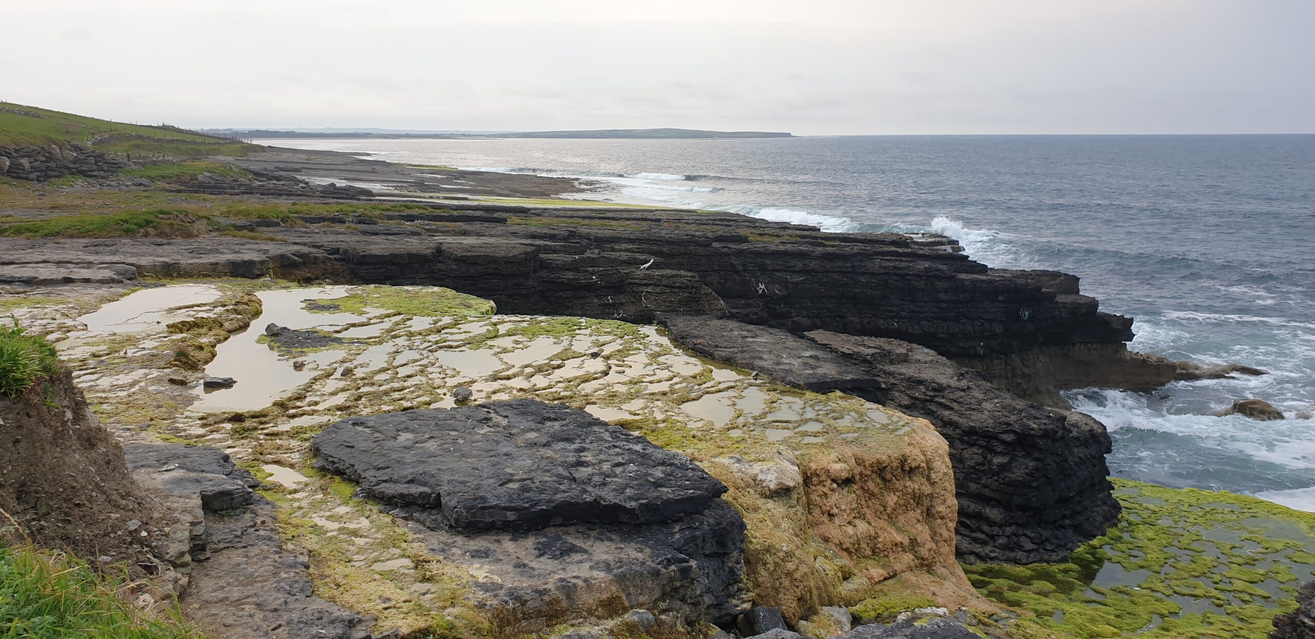 Sligo Stromatolites